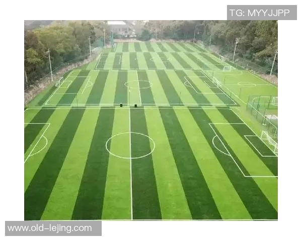 足球场排水沟的重要性及其对比赛质量的影响分析